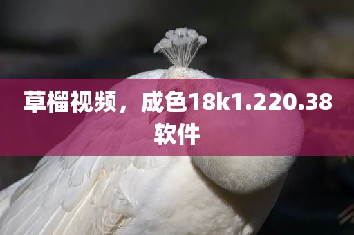 草榴视频，成色18k1.220.38软件