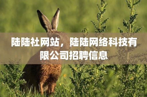 陆陆社网站，陆陆网络科技有限公司招聘信息