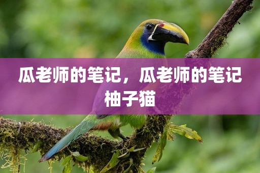 瓜老师的笔记，瓜老师的笔记柚子猫