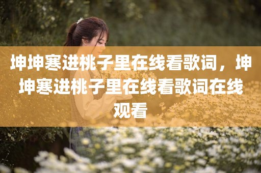 坤坤寒进桃子里在线看歌词，坤坤寒进桃子里在线看歌词在线观看