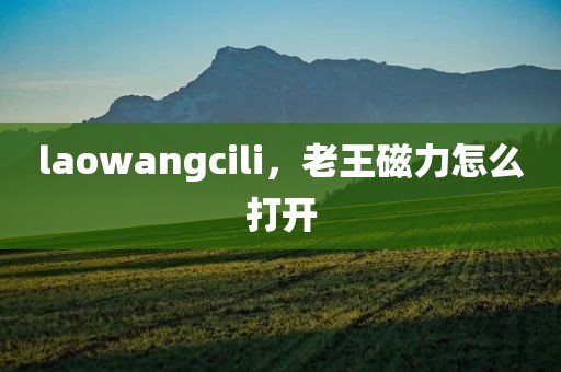 laowangcili，老王磁力怎么打开
