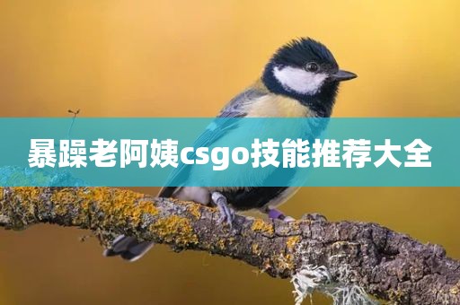 暴躁老阿姨csgo技能推荐大全