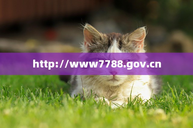http://www7788.gov.cn