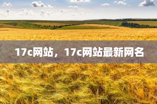 17c网站，17c网站最新网名