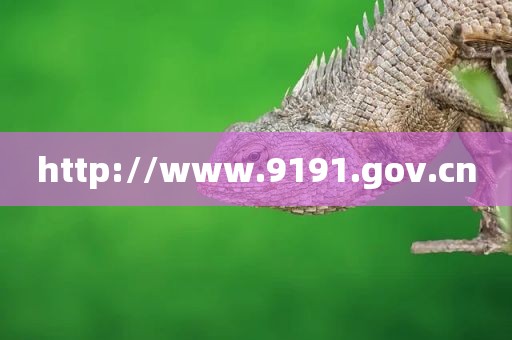 http://www.9191.gov.cn