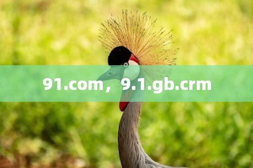 91.com，9.1.gb.crm