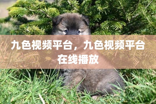 九色视频平台，九色视频平台在线播放