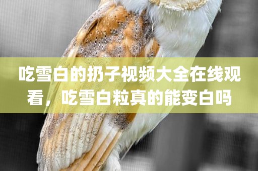 吃雪白的扔子视频大全在线观看，吃雪白粒真的能变白吗