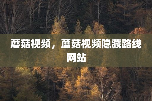 蘑菇视频，蘑菇视频隐藏路线网站