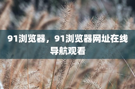 91浏览器，91浏览器网址在线导航观看
