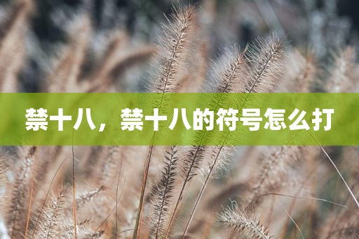 禁十八，禁十八的符号怎么打