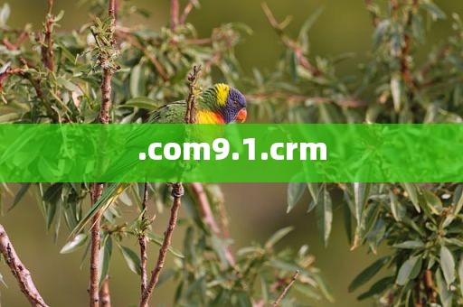 .com9.1.crm