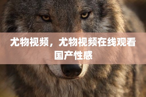 尤物视频，尤物视频在线观看国产性感