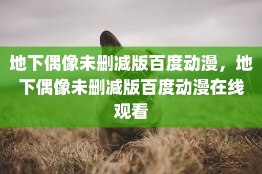 地下偶像未删减版百度动漫，地下偶像未删减版百度动漫在线观看