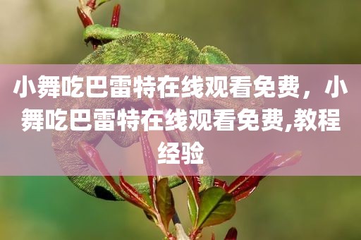 小舞吃巴雷特在线观看免费，小舞吃巴雷特在线观看免费,教程经验