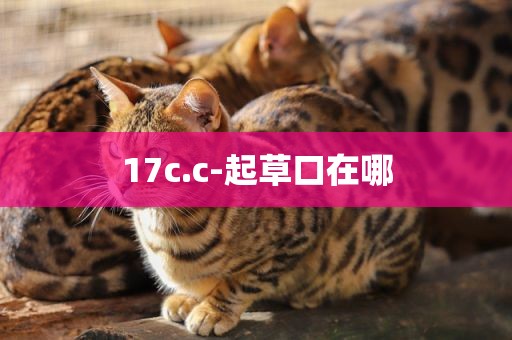 17c.c-起草口在哪