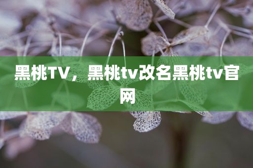 黑桃TV，黑桃tv改名黑桃tv官网