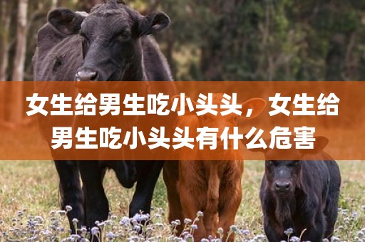 女生给男生吃小头头，女生给男生吃小头头有什么危害
