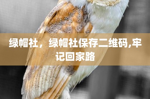 绿帽社，绿帽社保存二维码,牢记回家路