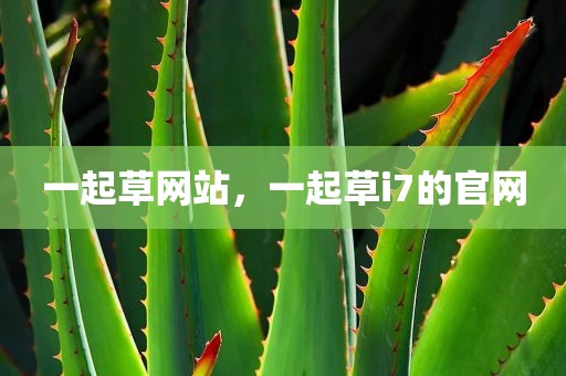 一起草网站，一起草i7的官网