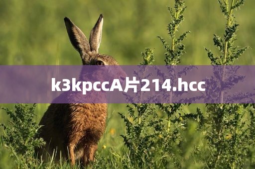 k3kpccA片214.hcc