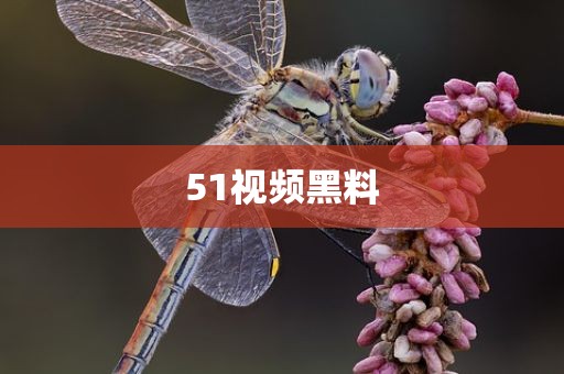 51视频黑料