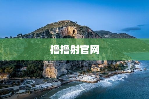撸撸射官网
