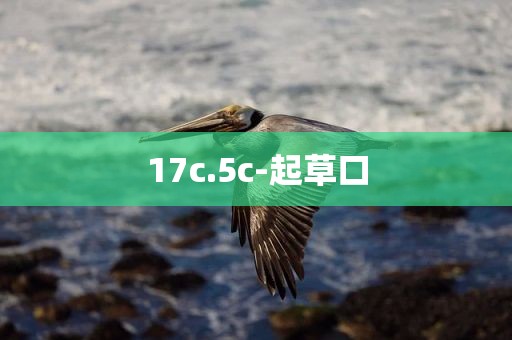 17c.5c-起草口