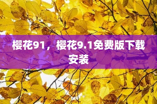 樱花91，樱花9.1免费版下载安装