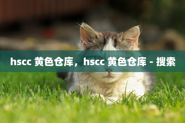 hscc 黄色仓库，hscc 黄色仓库 - 搜索