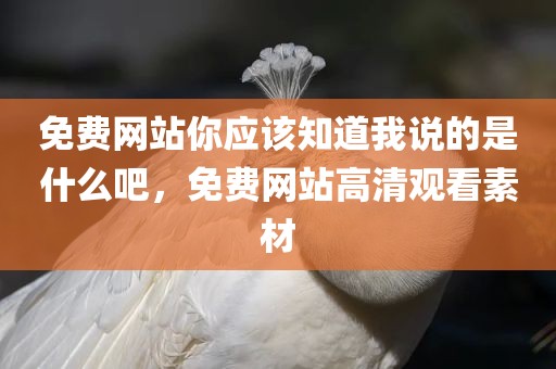 免费网站你应该知道我说的是什么吧，免费网站高清观看素材