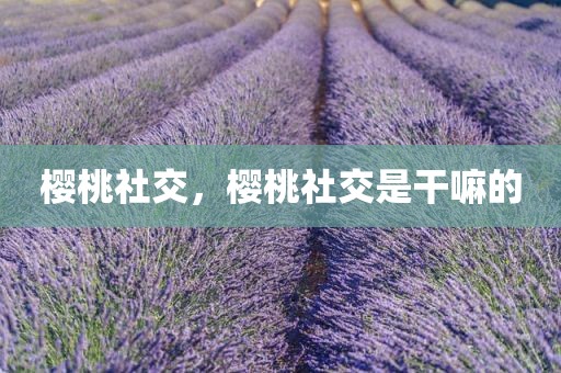 樱桃社交，樱桃社交是干嘛的