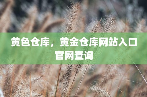 黄色仓库，黄金仓库网站入口官网查询