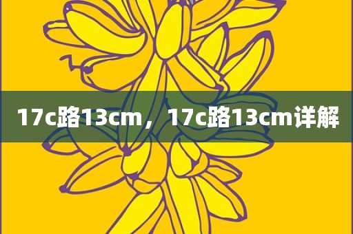17c路13cm，17c路13cm详解