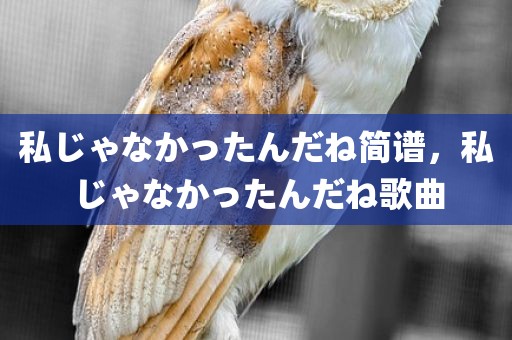 私じゃなかったんだね简谱，私じゃなかったんだね歌曲