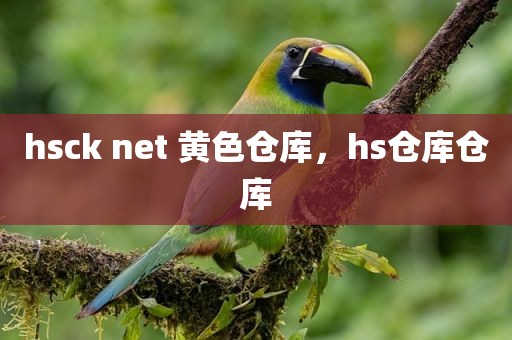 hsck net 黄色仓库，hs仓库仓库