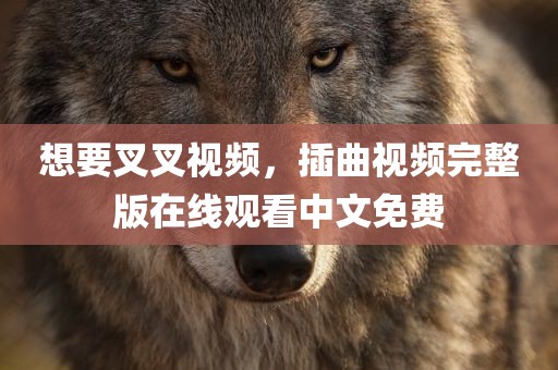 想要叉叉视频，插曲视频完整版在线观看中文免费