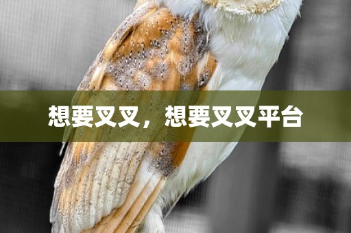 想要叉叉，想要叉叉平台
