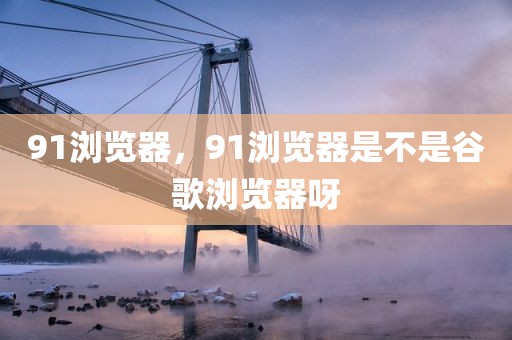 91浏览器，91浏览器是不是谷歌浏览器呀