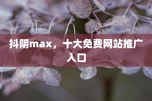 抖阴max，十大免费网站推广入口
