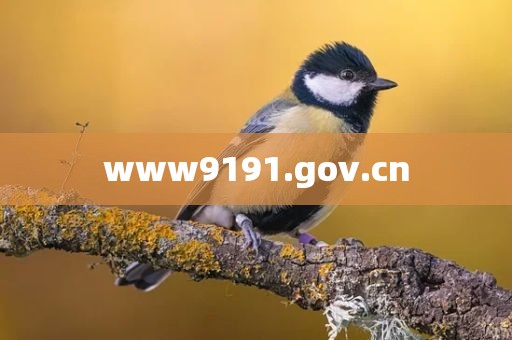 www9191.gov.cn