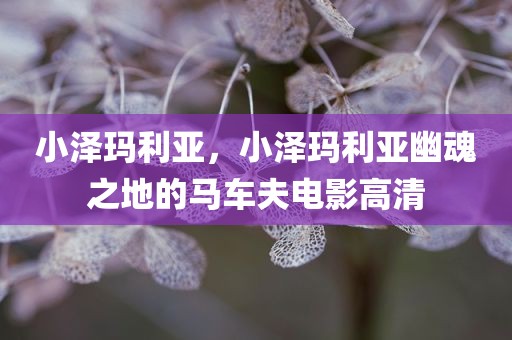 小泽玛利亚，小泽玛利亚幽魂之地的马车夫电影高清