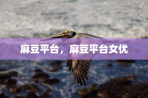 麻豆平台，麻豆平台女优