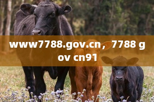 www7788.gov.cn，7788 gov cn91