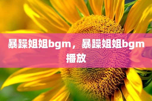 暴躁姐姐bgm，暴躁姐姐bgm播放