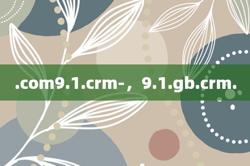 .com9.1.crm-，9.1.gb.crm.