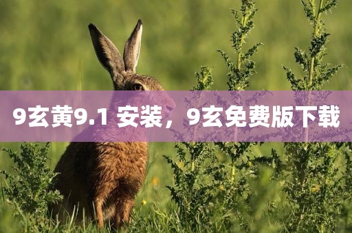 9玄黄9.1 安装，9玄免费版下载