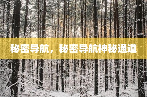 秘密导航，秘密导航神秘通道