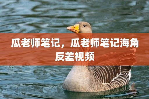 瓜老师笔记，瓜老师笔记海角反差视频