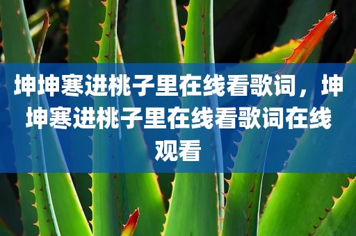 坤坤寒进桃子里在线看歌词，坤坤寒进桃子里在线看歌词在线观看